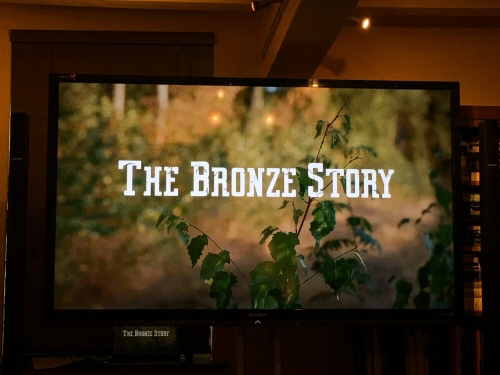 The Bronze Story