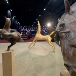 A HORSE CALLED CORONA kijkt reikhalzend uit naar Jumping Indoor Maastricht