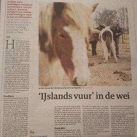 IJslands vuur in de wei